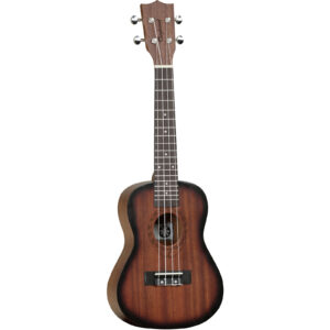 Tanglewood TWT 3 SB