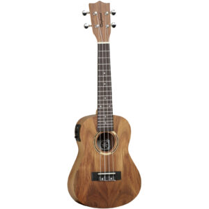 Tanglewood TWT 8 E
