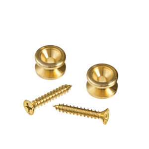 Planet Waves EP302 Strap Gold (la paire)