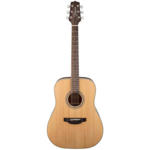 Takamine GD20 Natural Satin