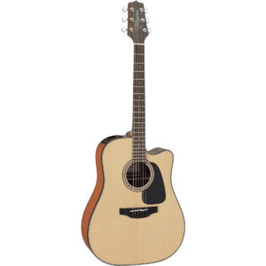 Takamine GD10CE  Natural Satin