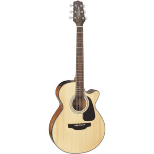 Takamine GF30CE