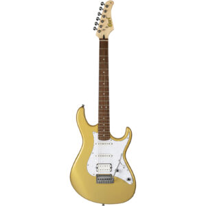 Cort G250