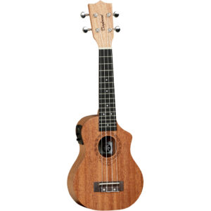 Tanglewood TWT 1 CE