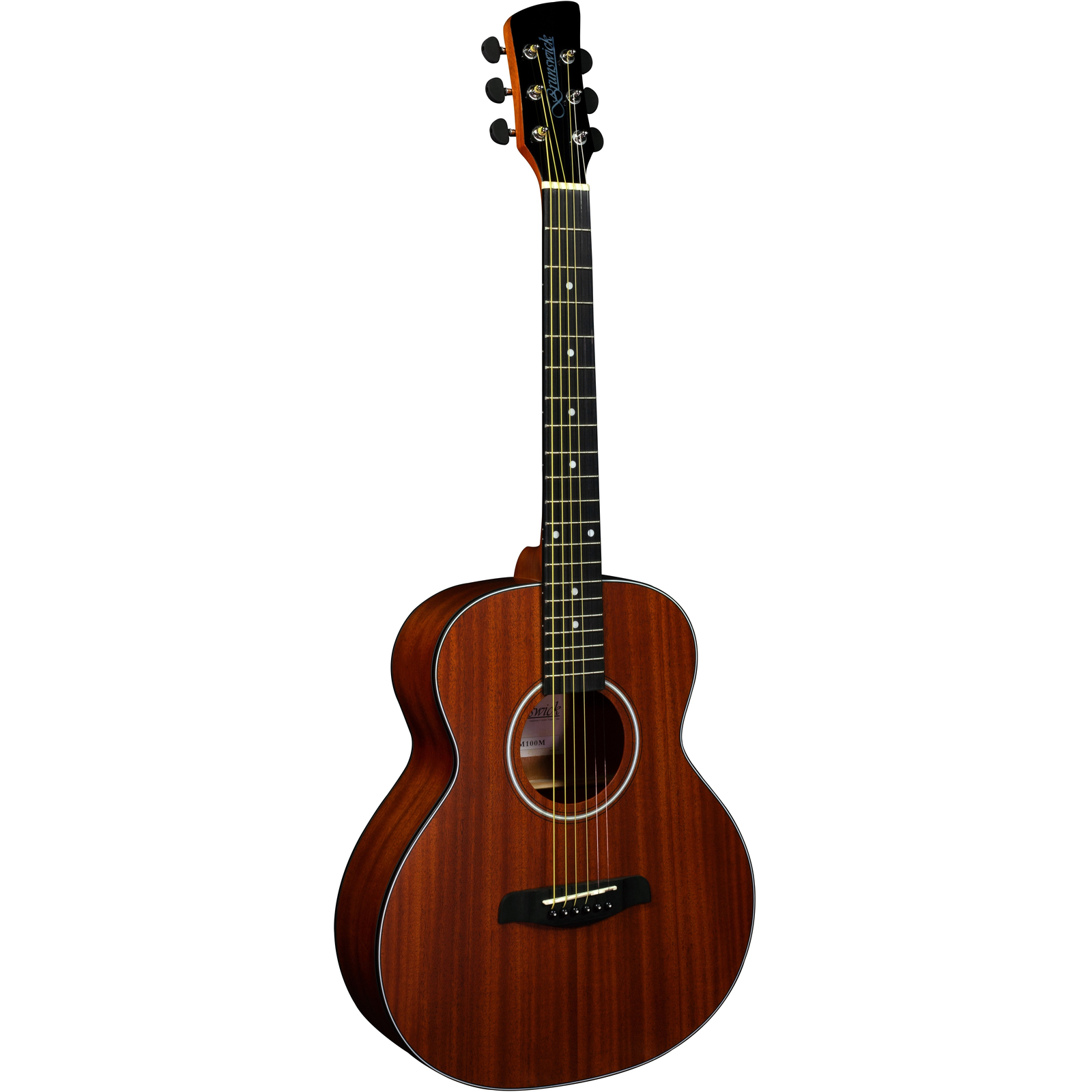 Brunswick BSM100