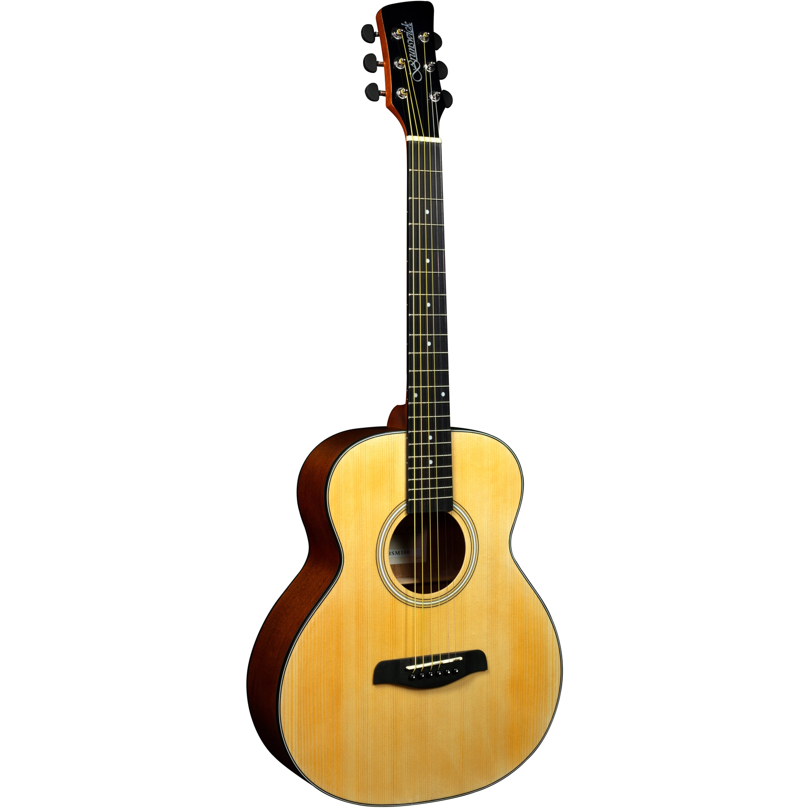 Brunswick BSM100