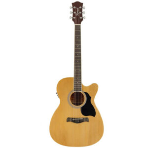 Richwood RA-12-CE Artist Series