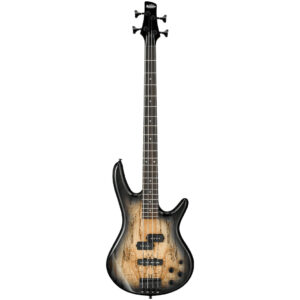 Ibanez GSR200SM Natural Gray Burst