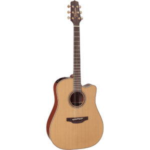 Takamine P3DC Pro Series